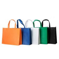 Promotional Price Recyclable Fabric Shopping Tote Carry Custom PP Non Woven Bags