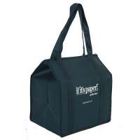 Reusable OEM custom professional insulated promotional cooler bag