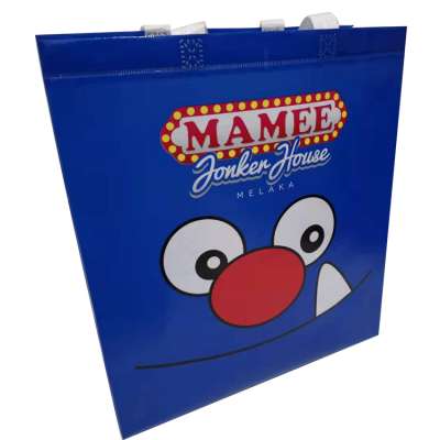 Customized colorful reusable clothing shopping non woven grocery bag