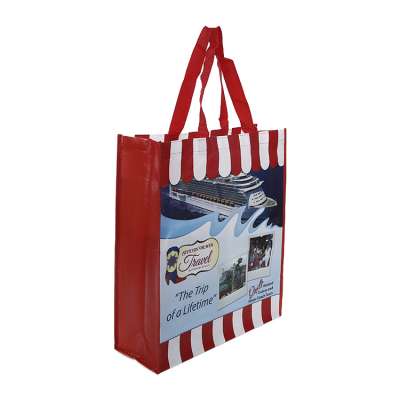 Hot sale printed shopping bag large laminated non-woven bag